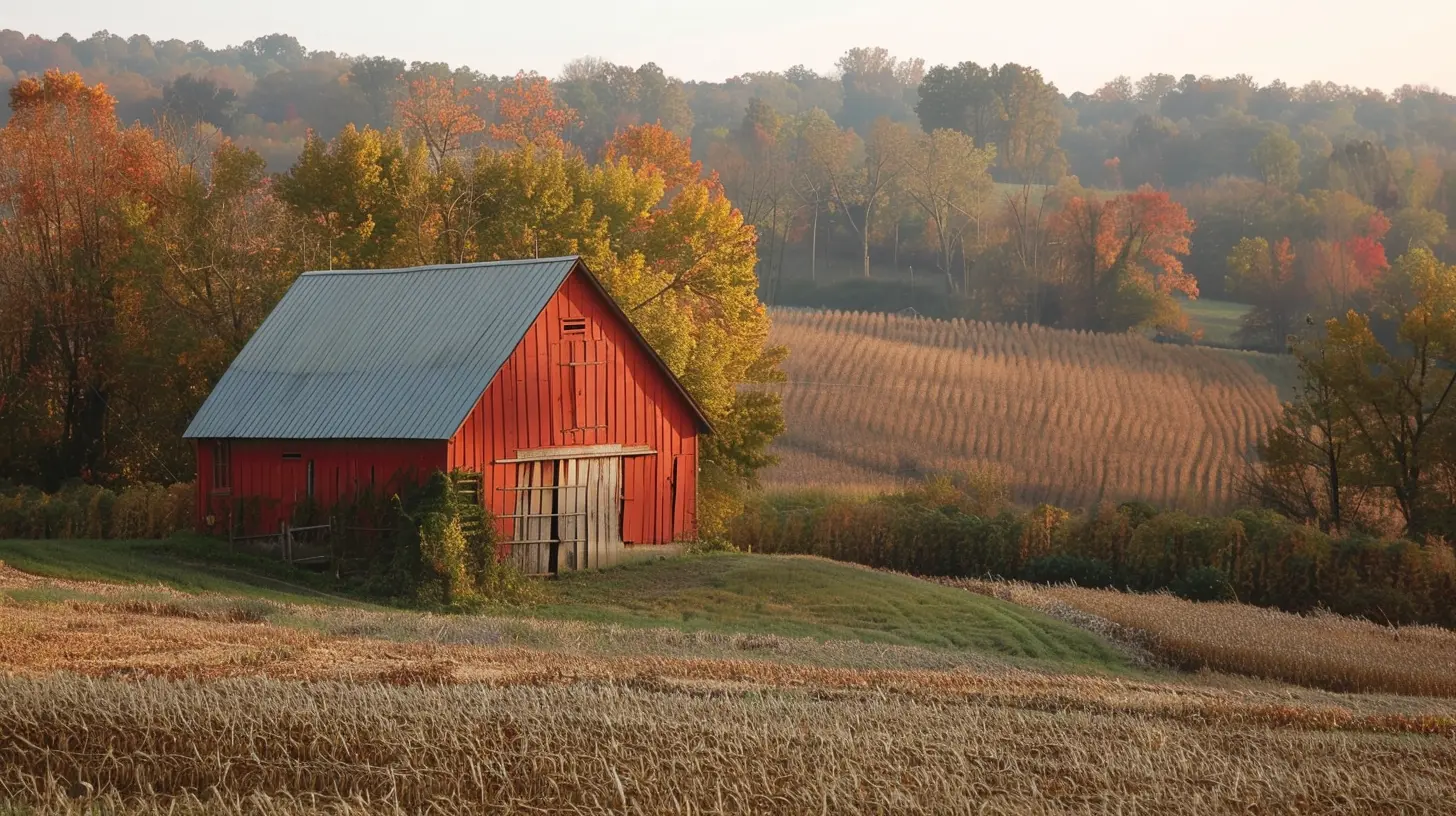 Rural Education Solutions Emerging by 2026