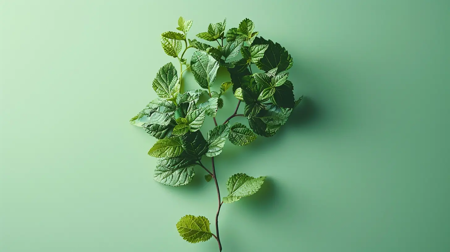 The Importance of Language in Shaping a Growth Mindset