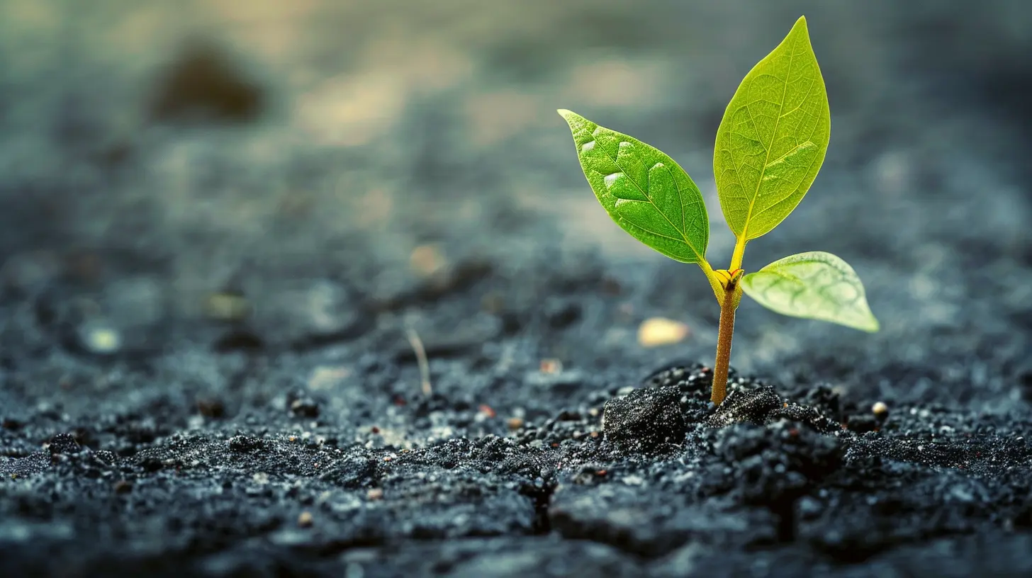 The Role of Failure in a Growth Mindset