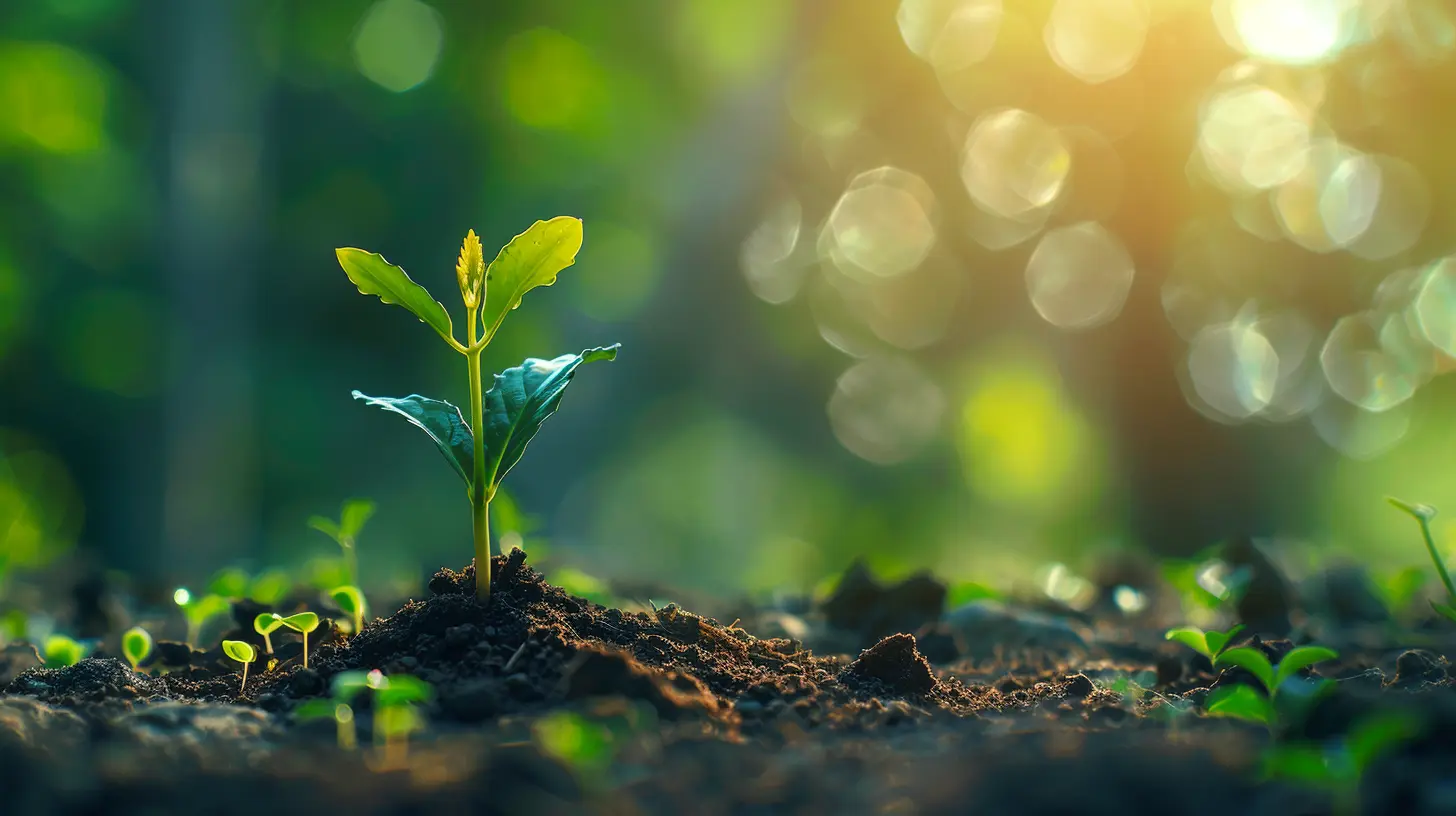 Why Growth Mindset is the Key to Lifelong Learning