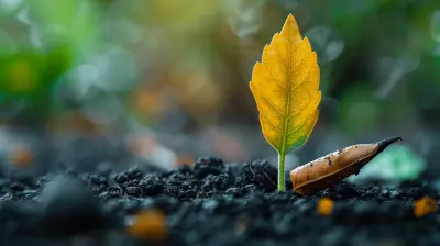 Grading Strategies that Promote Growth over Perfection