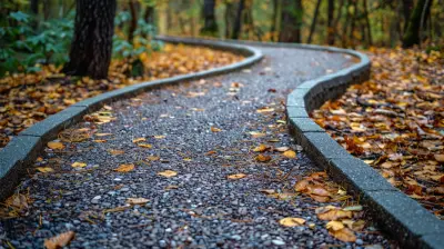 Online Vs In Person Choosing The Right Continuing Education Path