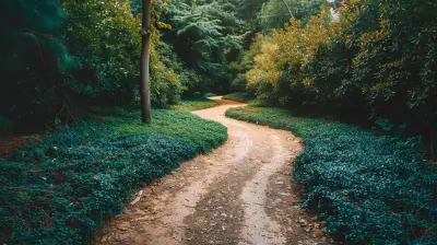 Online Vs In Person Choosing The Right Continuing Education Path