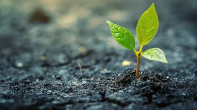The Role of Failure in a Growth Mindset