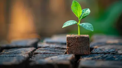 The Role of Failure in a Growth Mindset