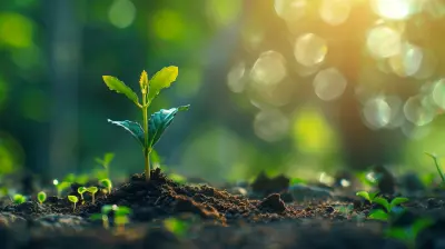 Why Growth Mindset is the Key to Lifelong Learning