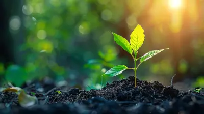 Why Growth Mindset is the Key to Lifelong Learning