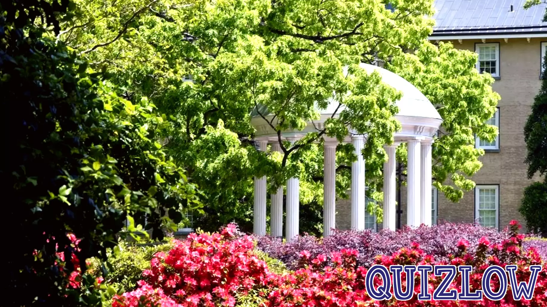 Focus and Flourish: At UNC, a new character education initiative is helping students master the virtues of attention - College of Arts and Sciences