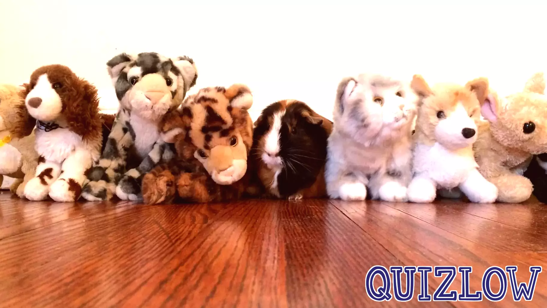 Four Education Trends Nobody’s Talking About — And Why They Matter