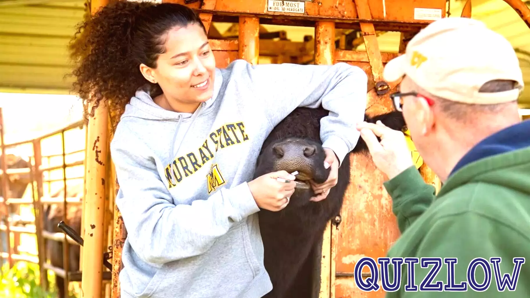 Kentucky Council on Postsecondary Education approves MSU's doctoral veterinary medicine program