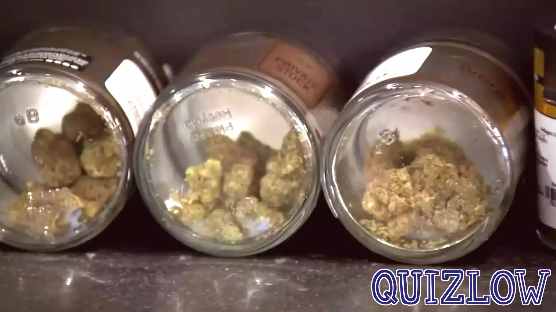 Minnesota’s Recreational Cannabis Industry Expands Educational Initiatives
