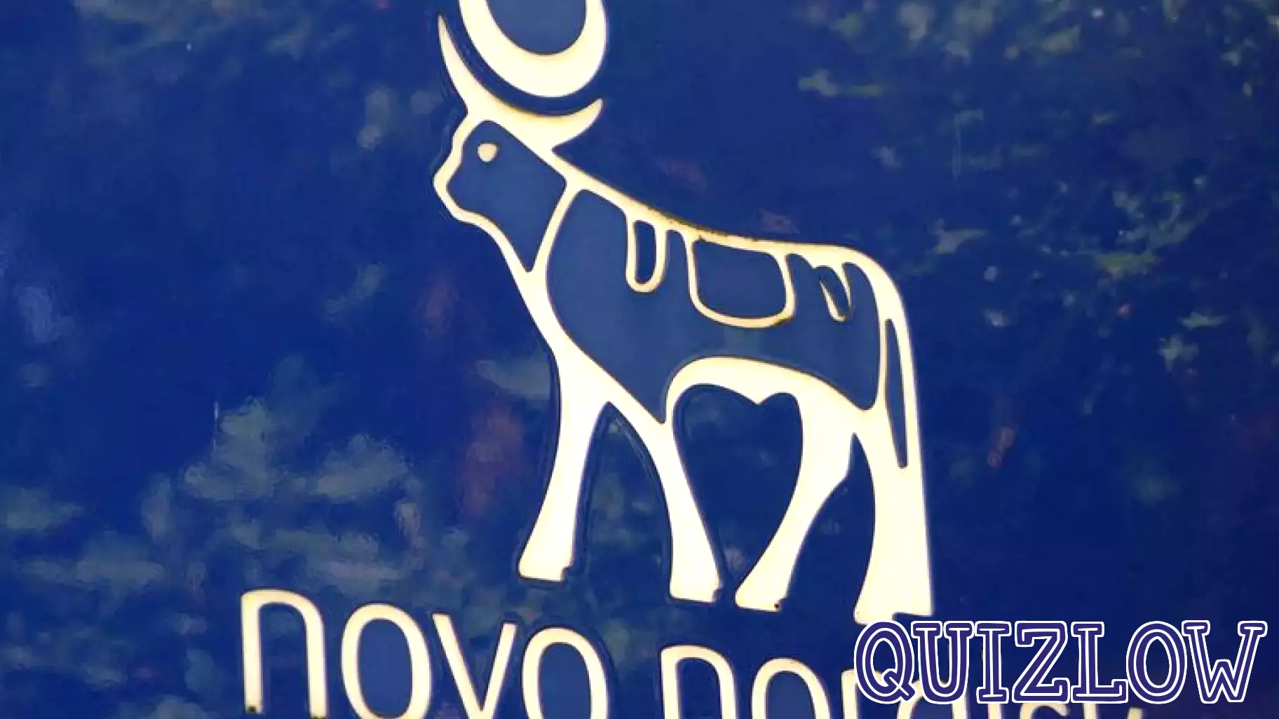 Novo Nordisk Reduces U.S. Obesity Education Team Amid Cost-Cutting Measures