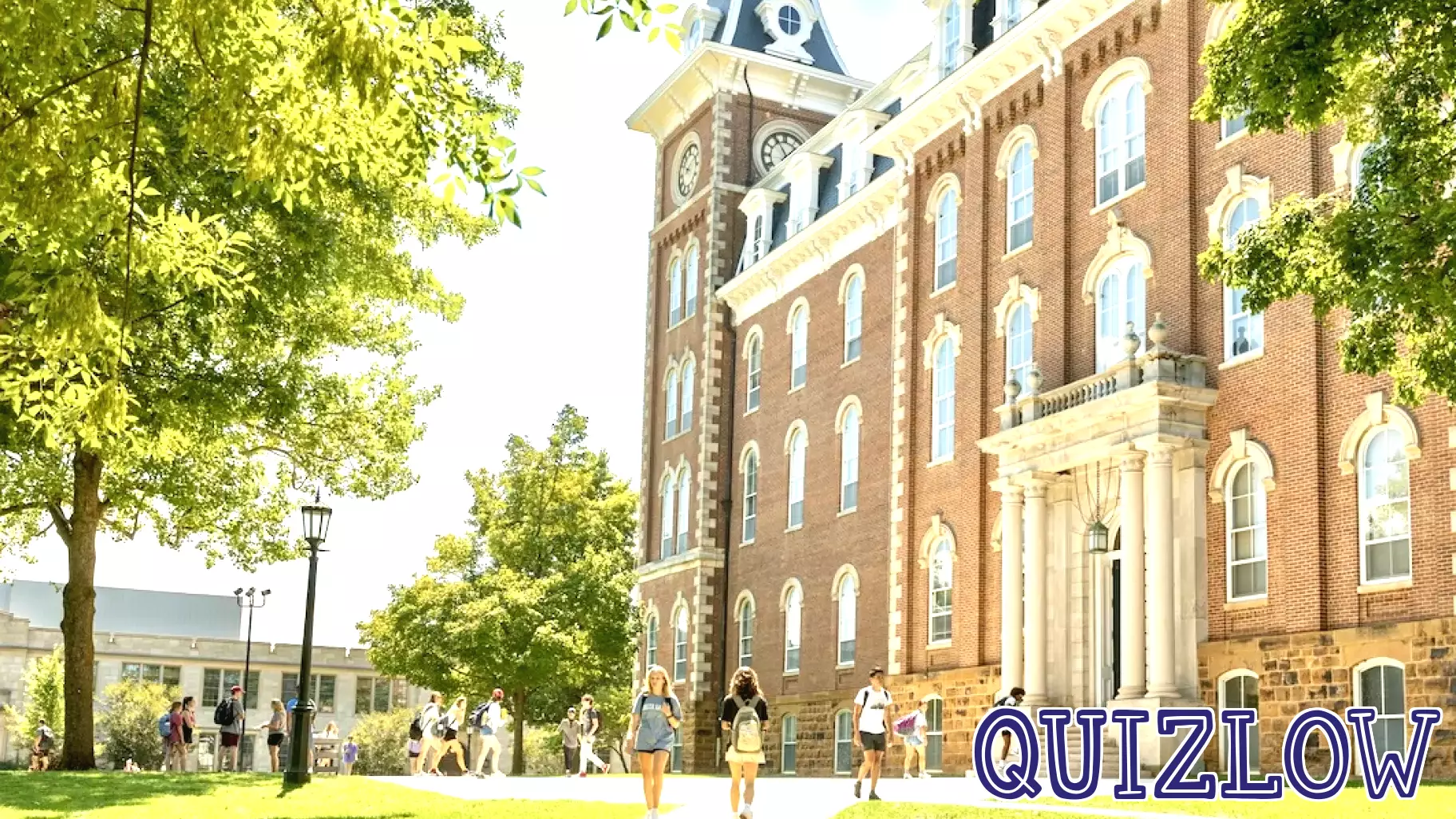 UA, Ziplines Education launch training courses