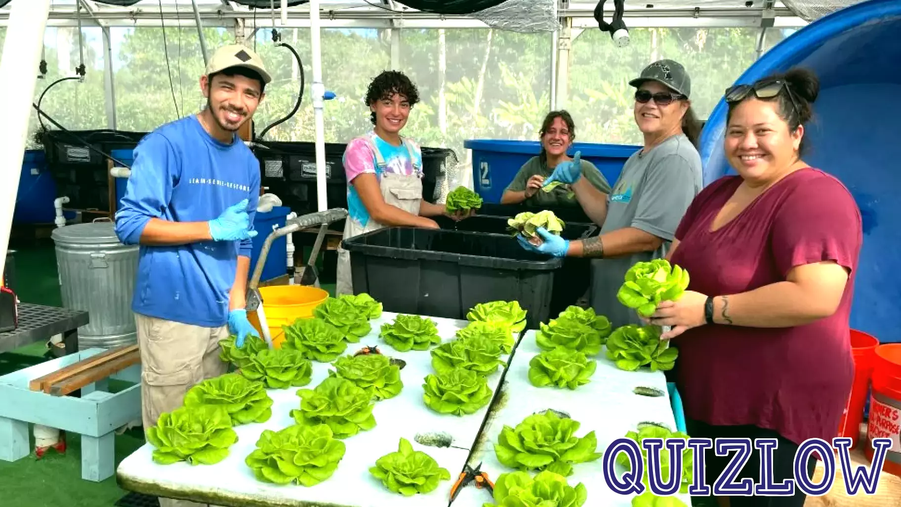 UH Maui College Opens Free Workshops on Farming and Indigenous Knowledge