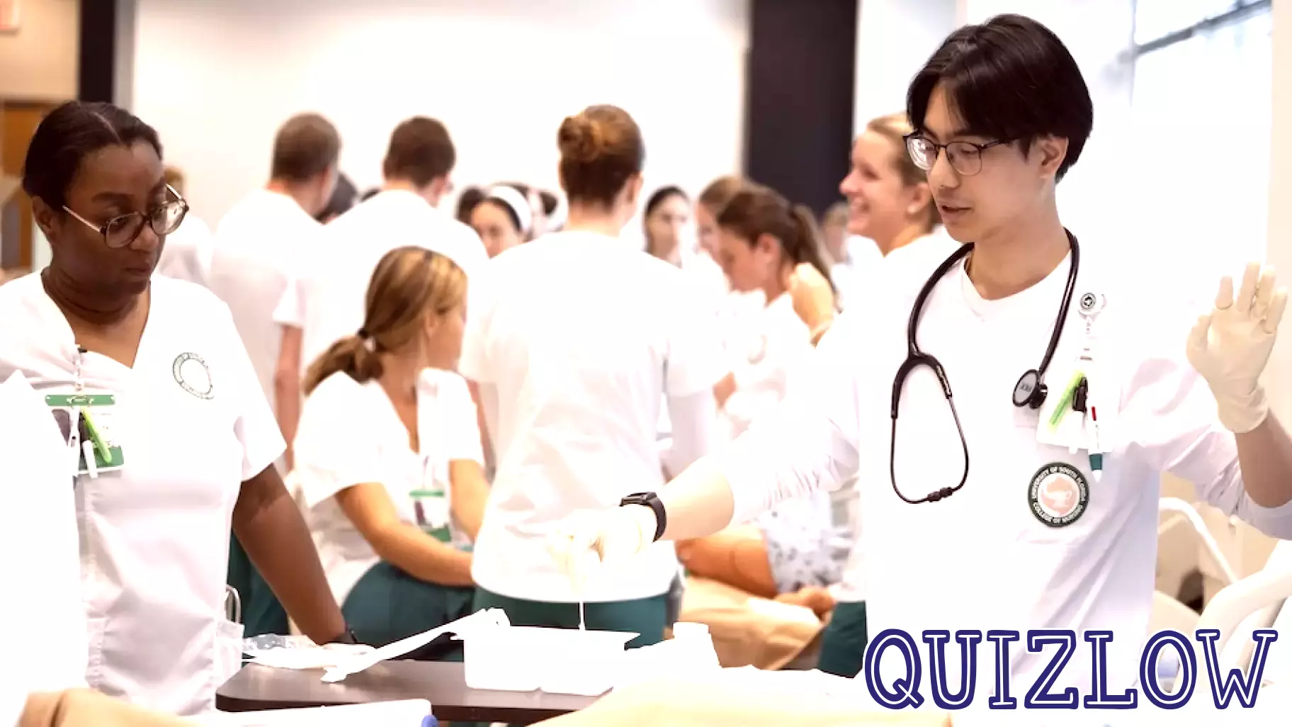USF St. Petersburg Introduces Innovative Bachelor's Degree in Nursing