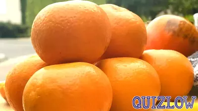 Albertsons and Foodbank Create New Space for Healthy Food Education