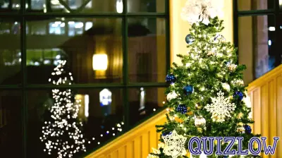 Community Highlights: Holiday Tree Recycling and Local Honors