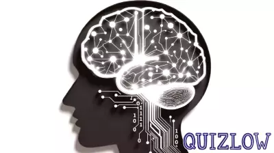 Illinois board of education releases guidelines for artificial intelligence use in schools