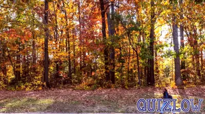 Key Developments in Higher Education: October and November Updates