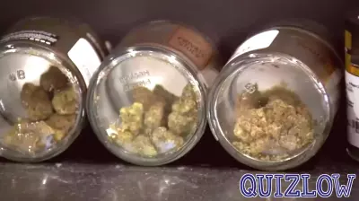 Minnesota’s Recreational Cannabis Industry Expands Educational Initiatives