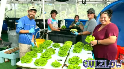 UH Maui College Opens Free Workshops on Farming and Indigenous Knowledge